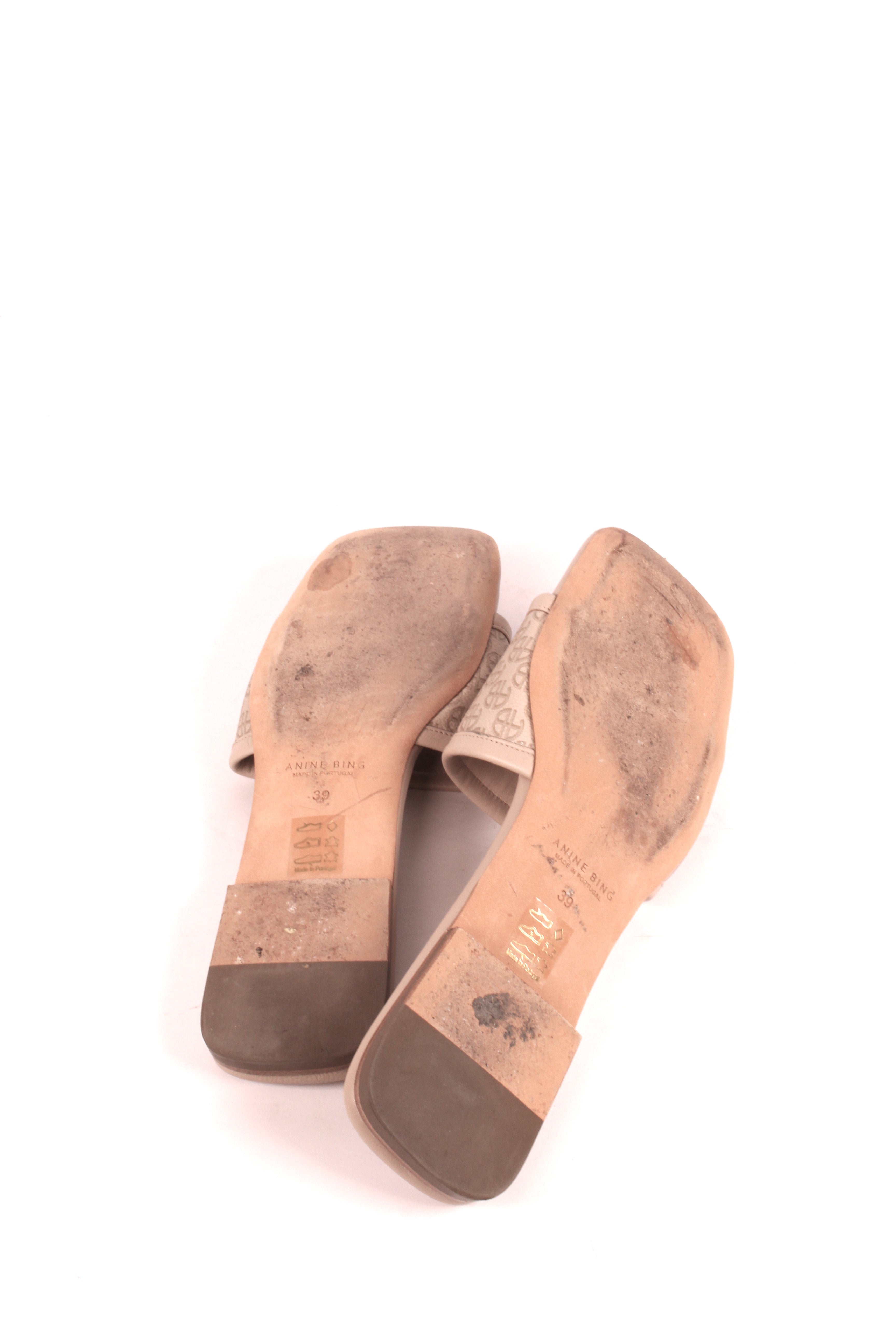 Ria Slides