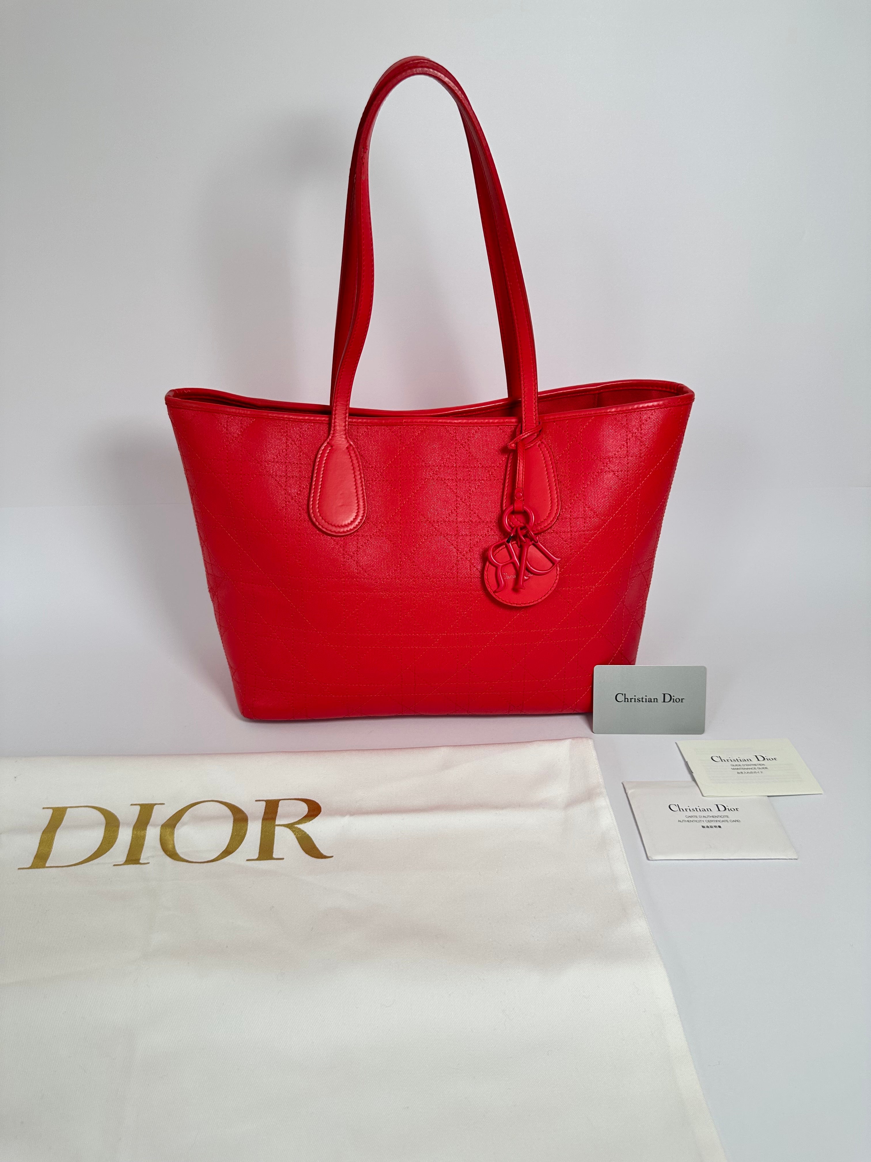 Dior panarea tote